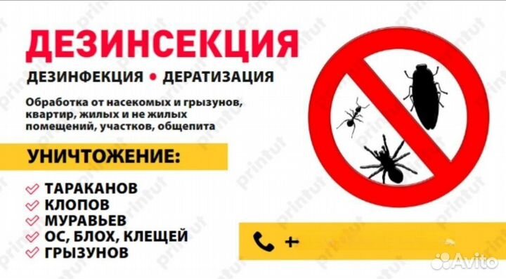 Уничтожение тараканов клопов