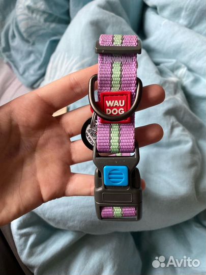 Ошейник для собак