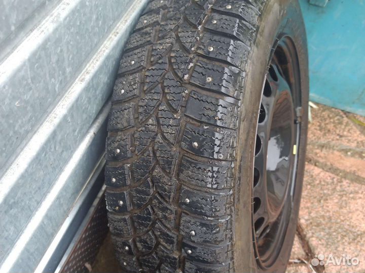 Tigar Sigura 195/65 R15