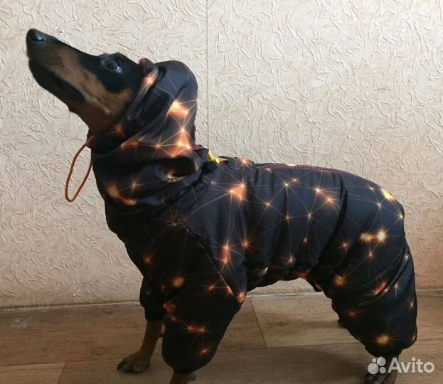 Зимний комбинезон для собак на цвергпинчера кобель