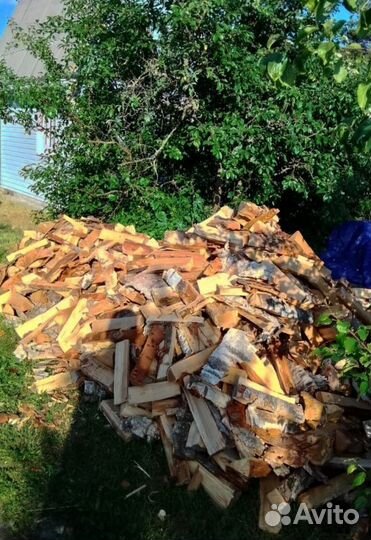 Дрова Береза