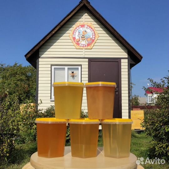 Свежий мед с желтой акации, черноклена,гомогенат