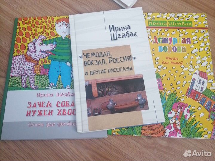 Книги Ирины Шейбак