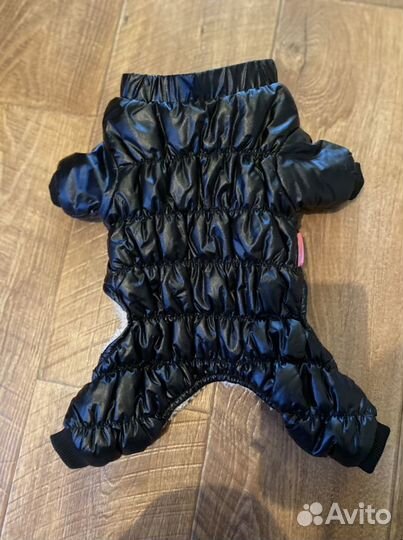 Одежда для собак