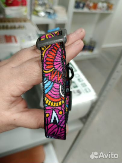 Ошейники WAU DOG,намордник