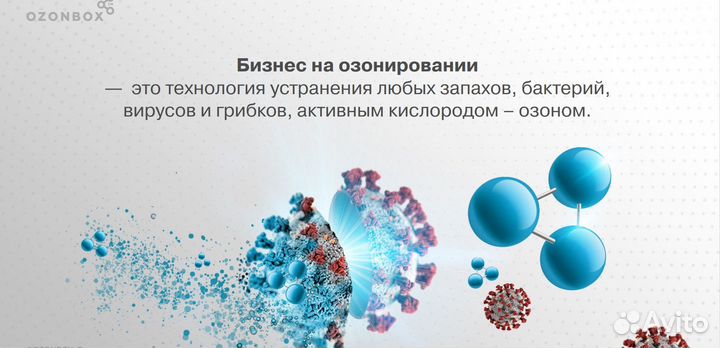 Готoвый Бизнeс на Озoниpовании
