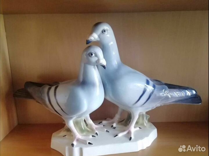 Пара немецких почтовых голубей ххl