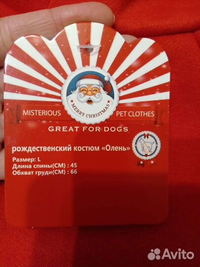 Одежда для собак мелкой породы