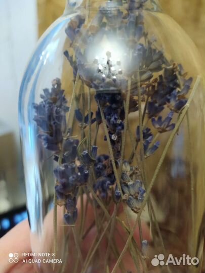 Бутылки стекло