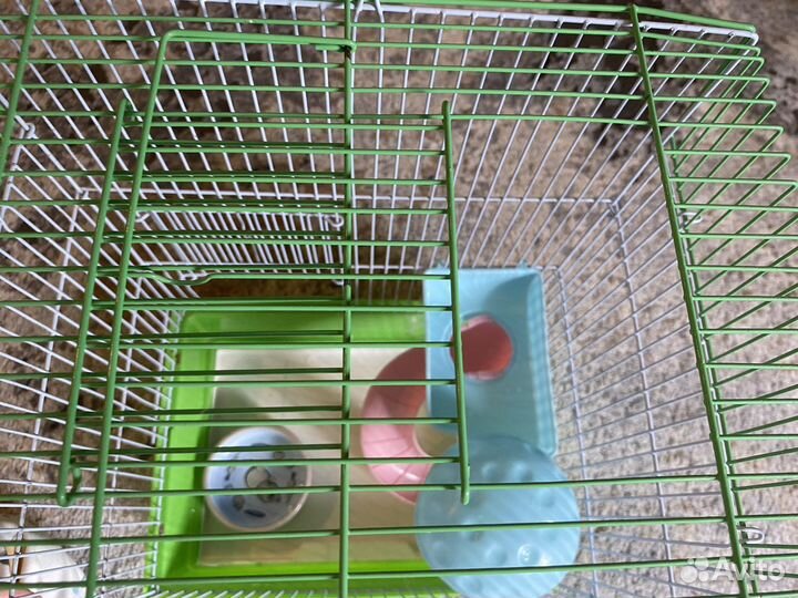 Клетка для грызунов