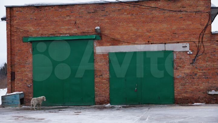 Помещение свободного назначения, 600 м²