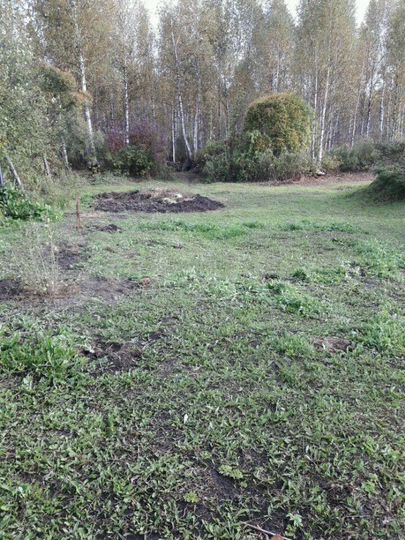 Участок 6 сот. (СНТ, ДНП)