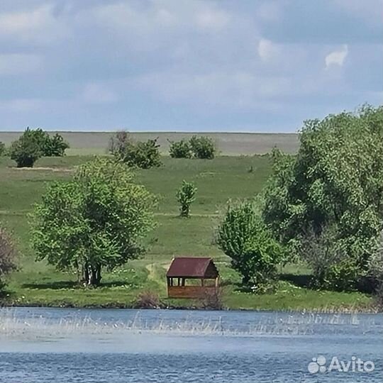 Рыбалка в Красновке