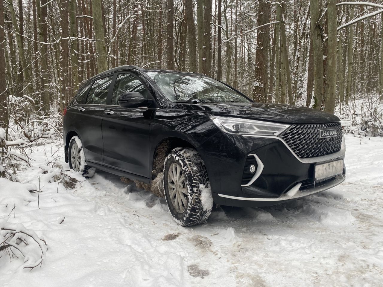 HAVAL M6: фото владельца