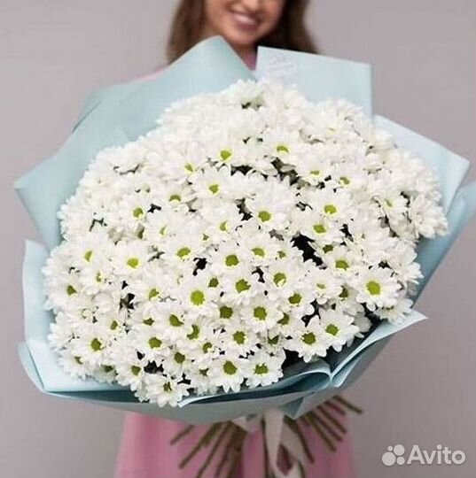 Доставка букетов и цветов. Хризантема