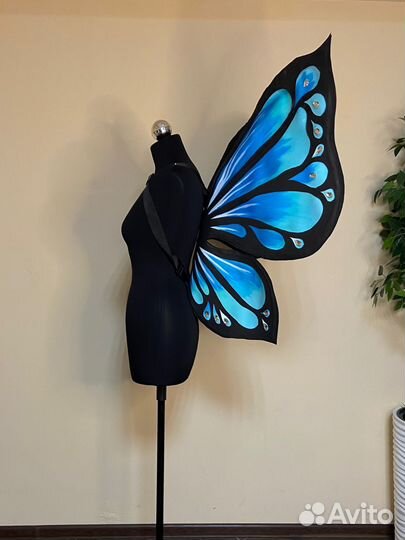 Крылья бабочки