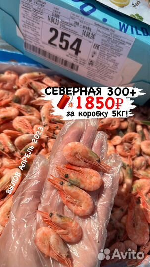 Креветки