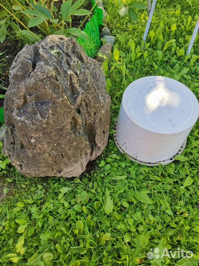 Лунный камень