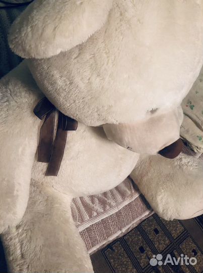 Плюшевый медведь