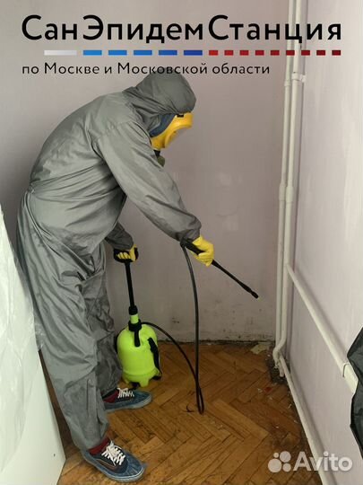 Удаление грибка и плесени, плесневых спор