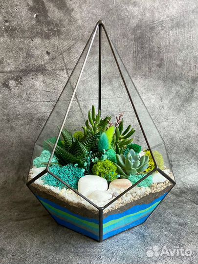 Флорариум суккуленты мох подарок
