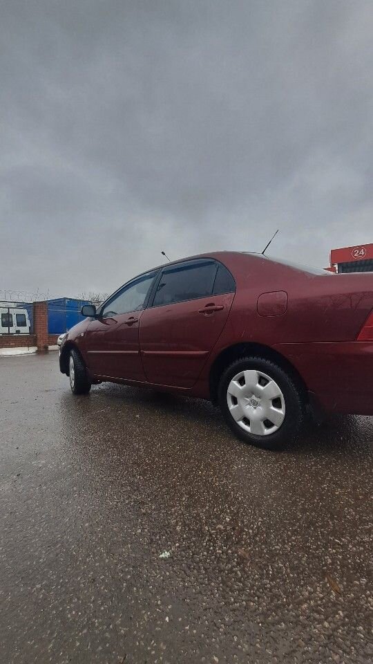 Toyota Corolla: фото владельца
