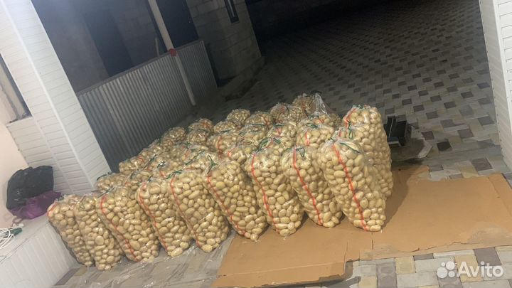 Картофель молодой беспл доставка