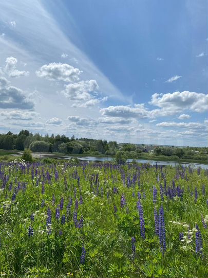 Участок 20 сот. (ИЖС)