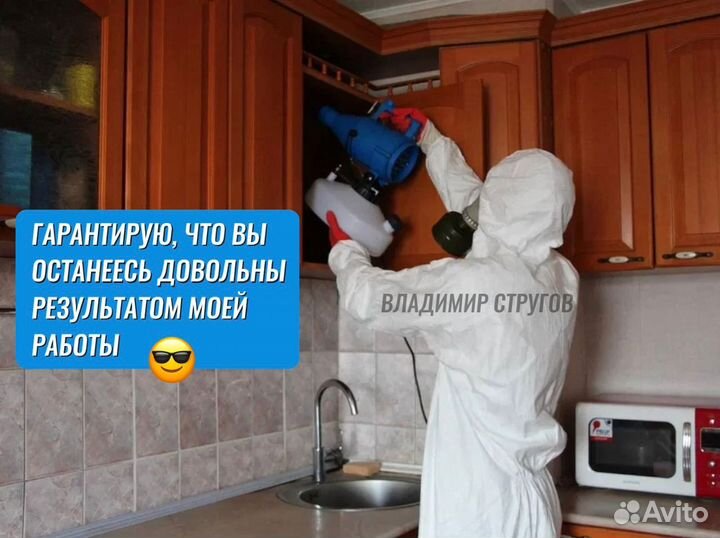 Уничтожение клопов, тараканов, блох / Дезинфекция