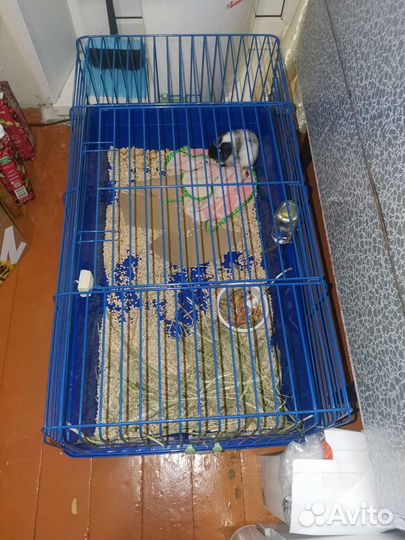 Клетка для грызунов большая