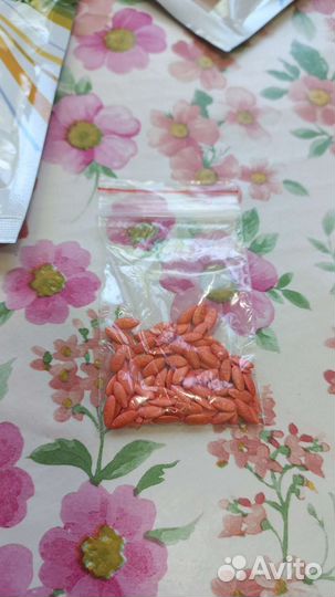 Огурцы феникс семена