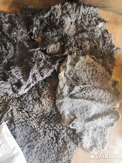 Шкурка животного