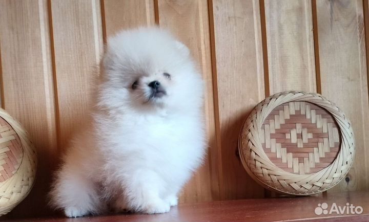 Кукляшные Мини Мальчики и Девочки