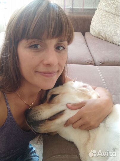 Передержка и выгул собачек