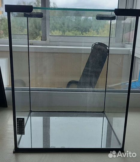 Ракушки, галька, кораллы