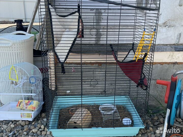 Клетка для грызунов и попугаев