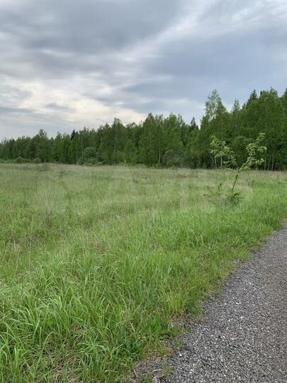 Участок 9,4 сот. (СНТ, ДНП)