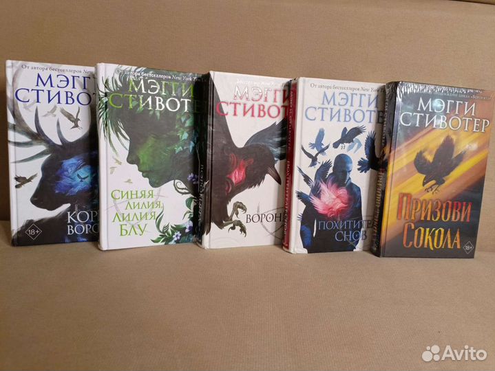 Мэгги Стивотер, Нора Сакавич