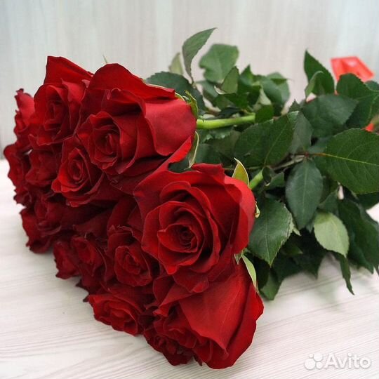 Букеты. Доставка роз. Свежие розы 101 71 51