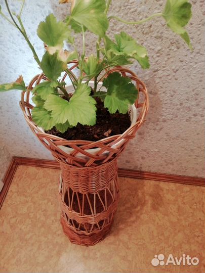 Плетеная ваза (лоза)