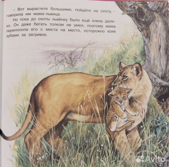 Книги Приключения зайчонка, котенка, бельчонка