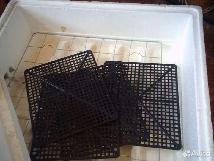 Автоматический инкубатор для яиц