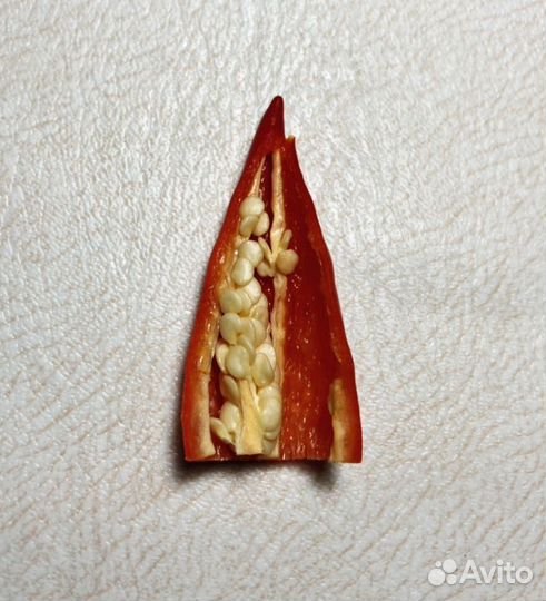 Семена острого перца