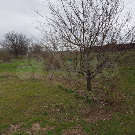 Участок 8 сот. (ИЖС)