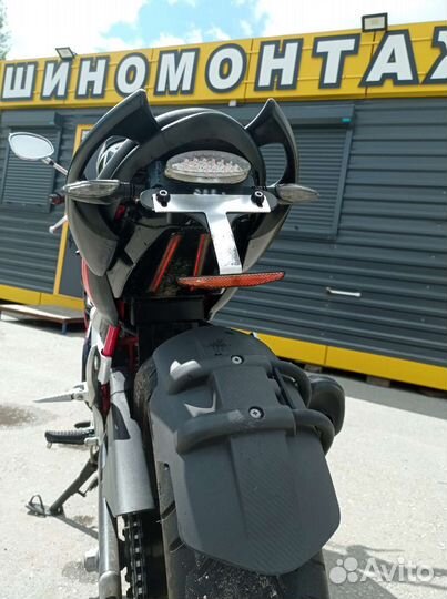 Suzuki Gladius sfv400