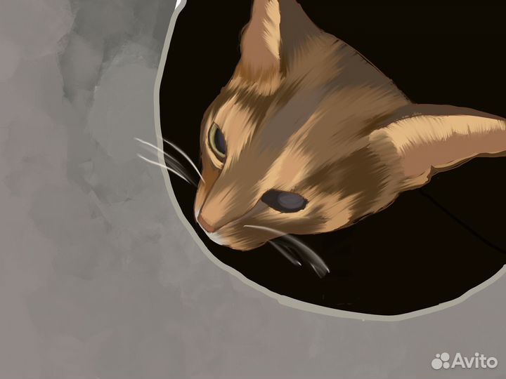 Рисую домашних животных по фото