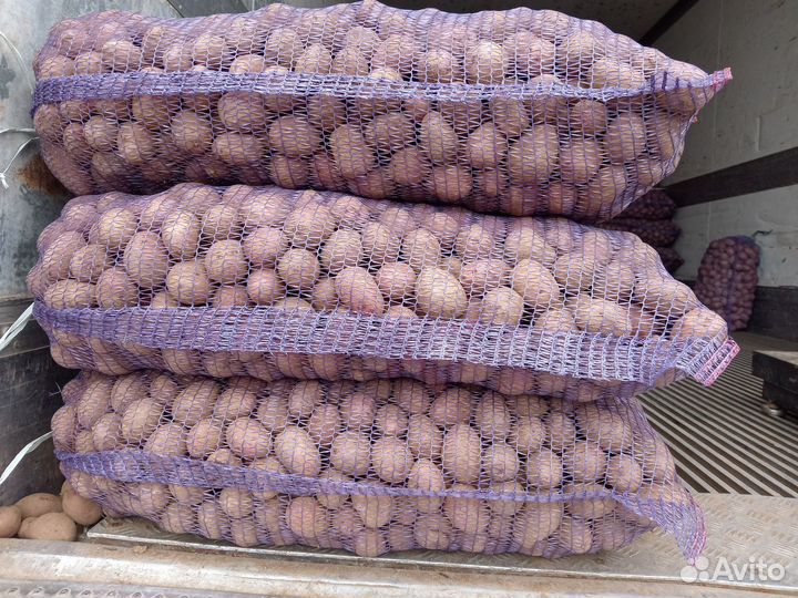 Продам картофель оптом