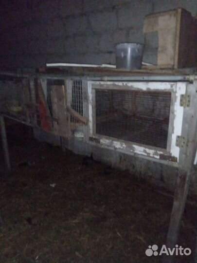 Клетка для кролика