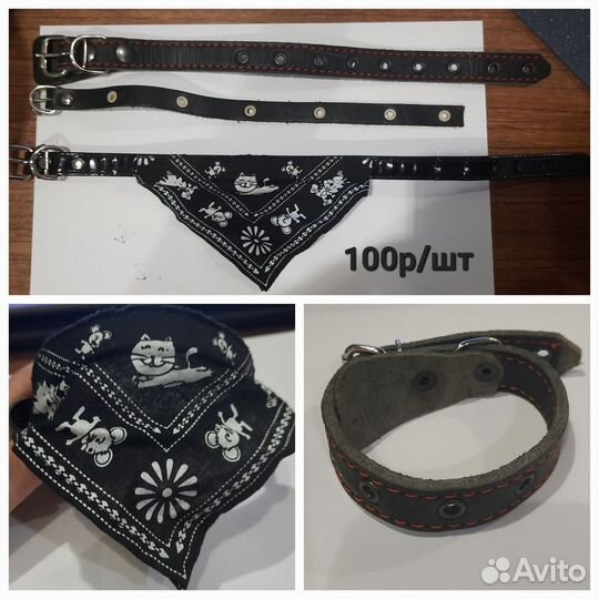 Поводок,ошейник, щетка д/собак