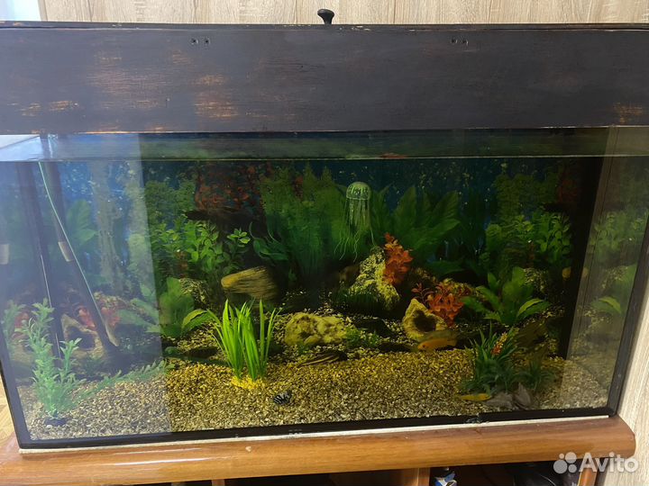 Аквариум с тумбой и рыбками